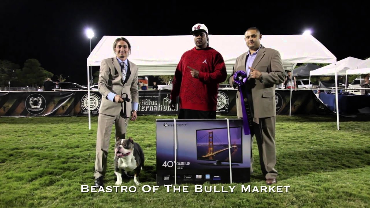 ABKC Show Results: BATTLE OF THE BULLIES III - Las Vegas 2014