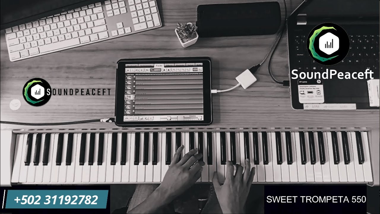 Samples Del Yamaha PSR-550 para Music Studio y para otras plataformas, Caustic, Kontakt, Bismark ✅