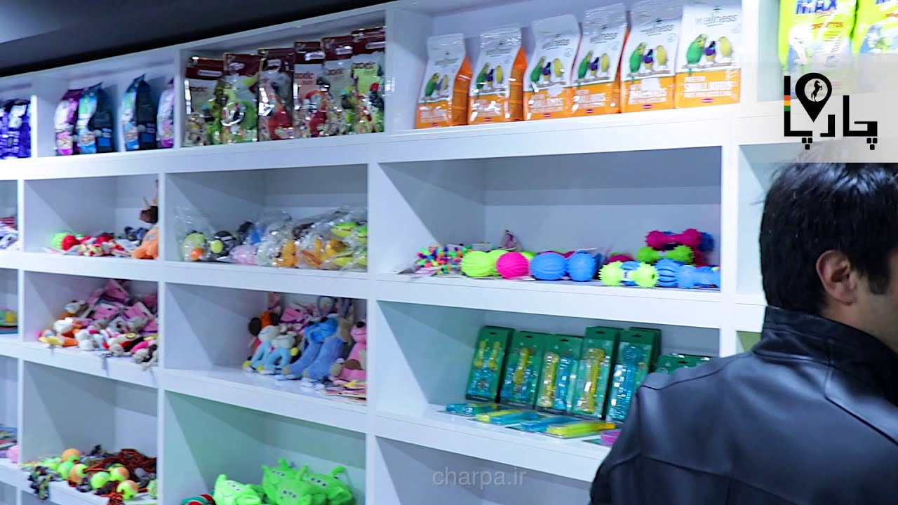Petshops and Pet supplies in Iran 