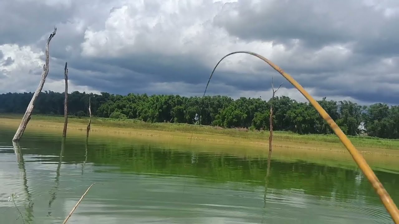 Muito peixes era jogar e pegar 