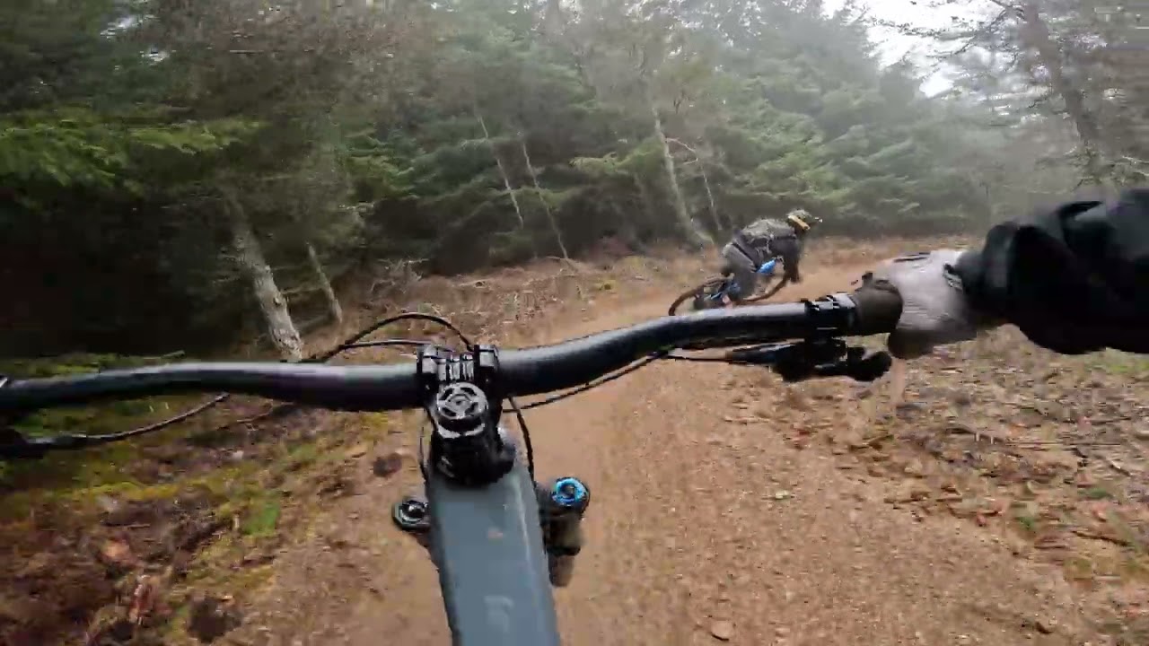 Tarland Trails