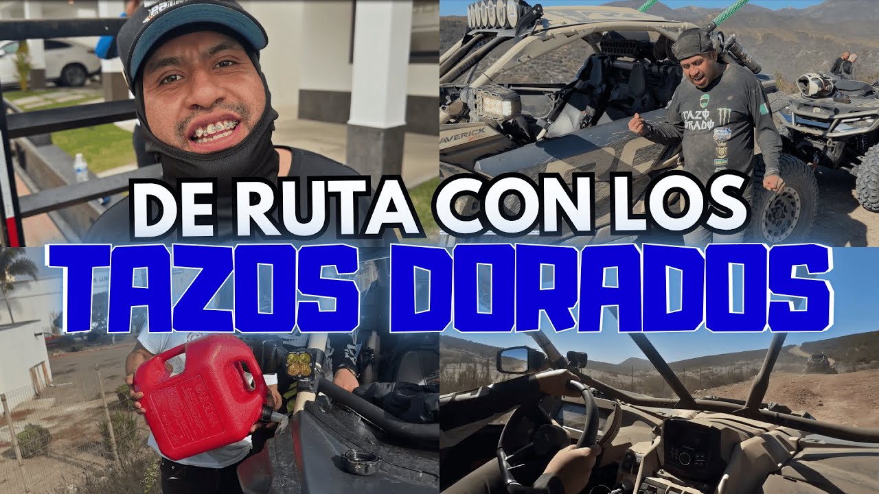 🚨EL PADRINO | NOS LLEVAMOS A LOS TAZOS DORADOS DE RUTA🚨😱 