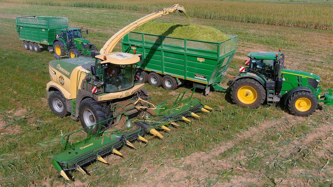 Mais 2025 : An IRISH team in Eastern Germany!! | Dennehy Harvesting | Krone BIG X 1180 | Maisernte