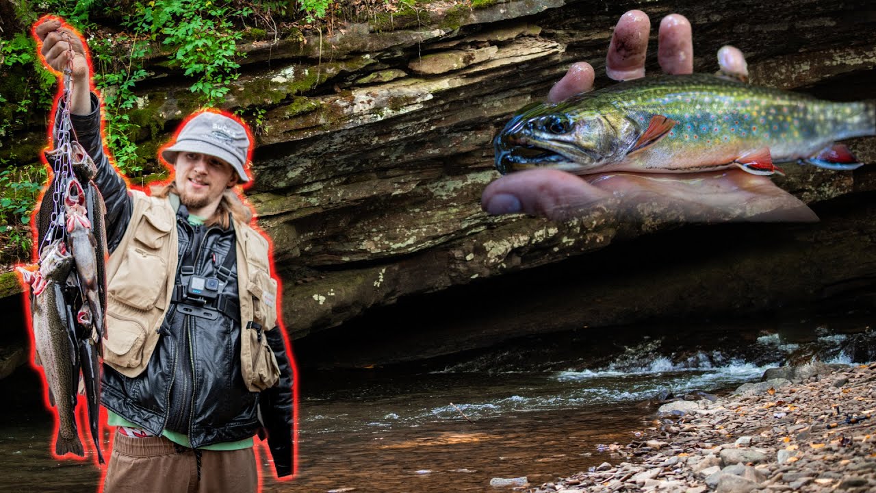 2 Day Fishing Catch & Cook Camping Trip, HUGE Brook Trout, Mountain Streams, Camping Next to CAVES!