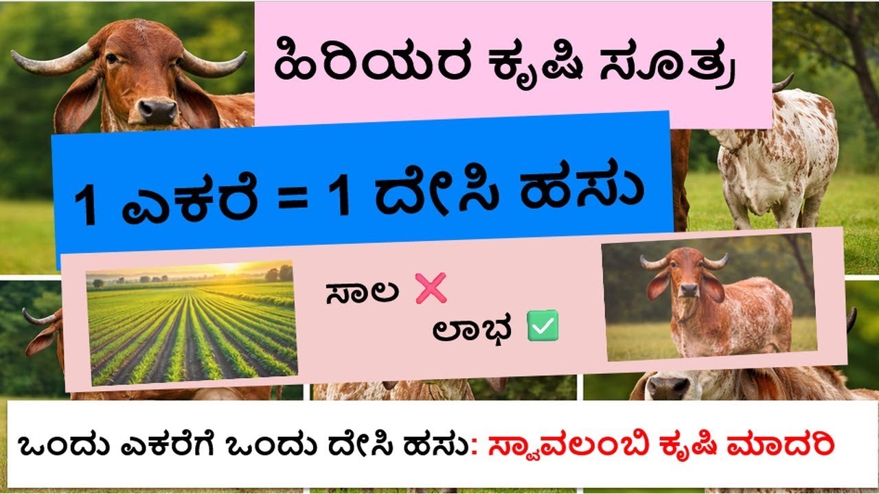 1 ಎಕರೆಗೆ 1 ದೇಸಿ ಹಸು = 0 ಸಾಲ | ಹಿರಿಯರ ಸರಳ ಕೃಷಿ ಸೂತ್ರ | 1 Desi Cow + 1 Acre = 0 Debt| Organic Farming
