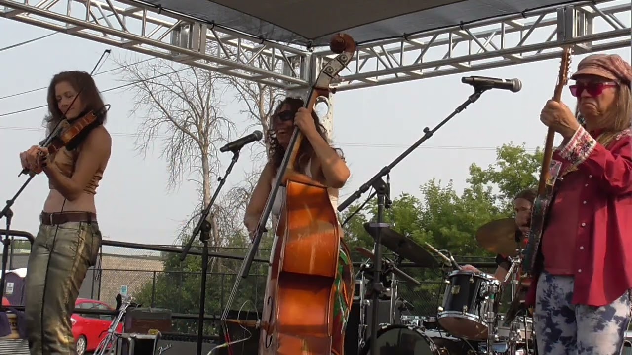 2555 - Sweet Lillies