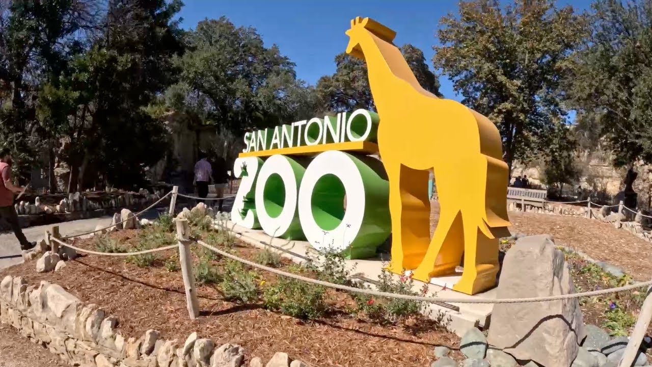 Visiting The San Antonio Zoo