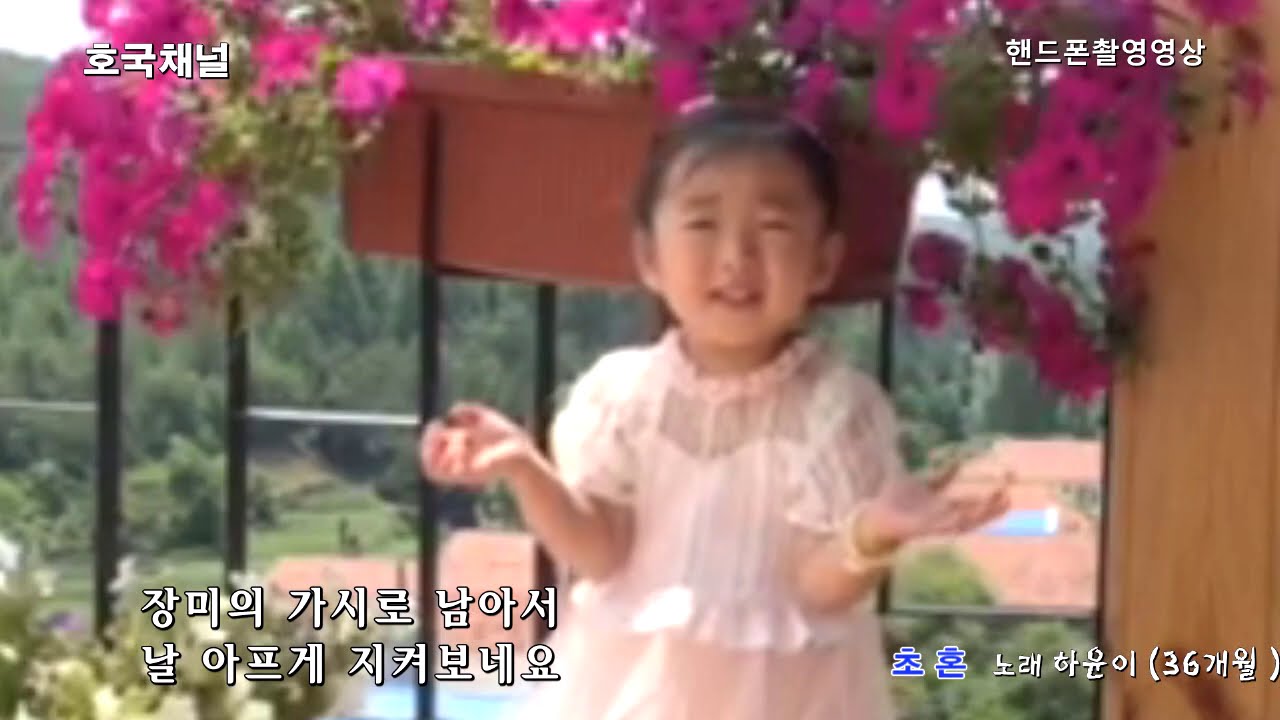 36개월 신동 하윤이 부른 