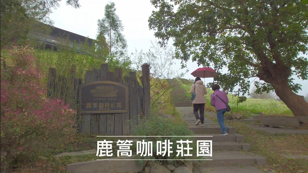 20260208_南投魚池-兩兄弟美式河粉+鹿篙咖啡莊園