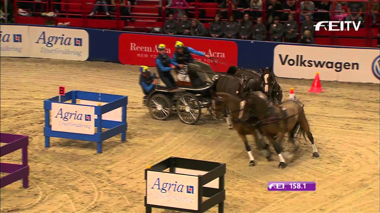 FEI World Cup™ Driving 2013/14 Stockholm - Tomas Eriksson 1st Place
