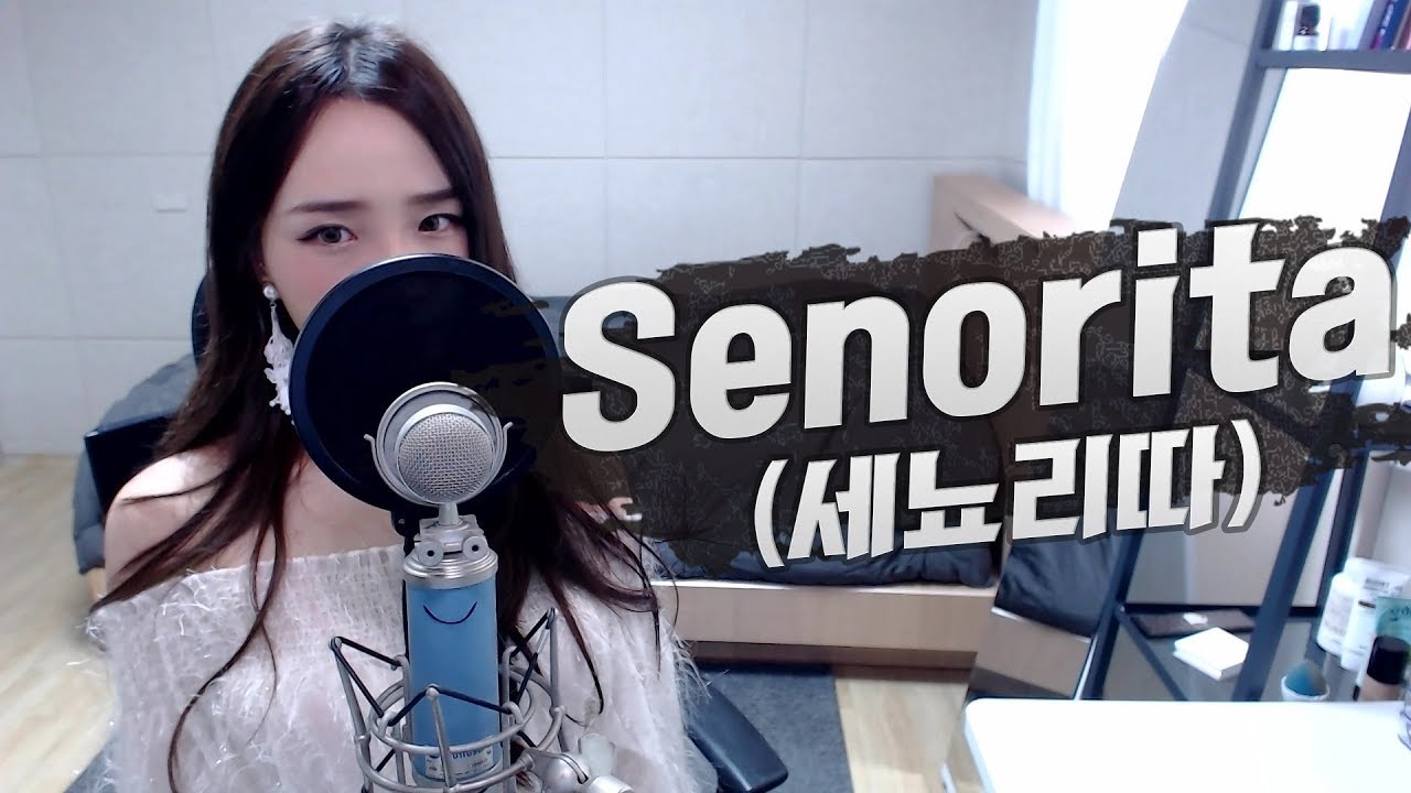 (G)I-DLE((여자)아이들) - Senorita｜세뇨리따 COVER by 새송｜SAESONG