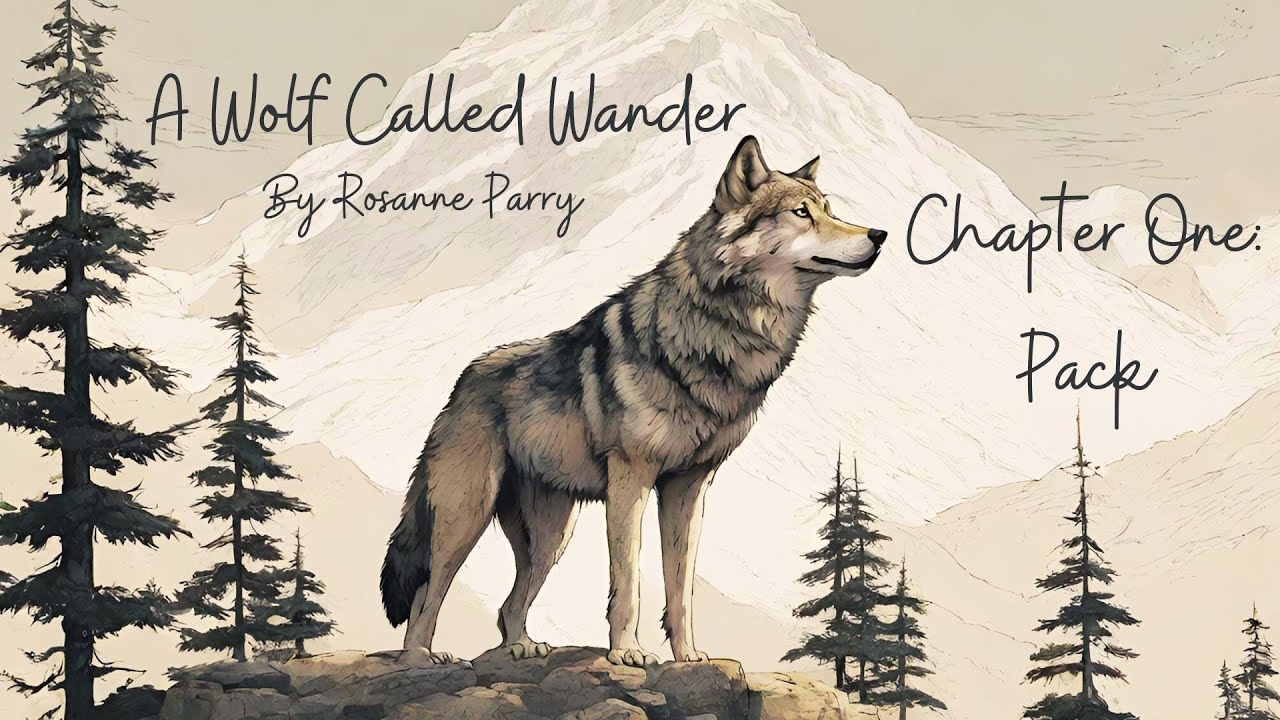 Chapter 1: Pack  