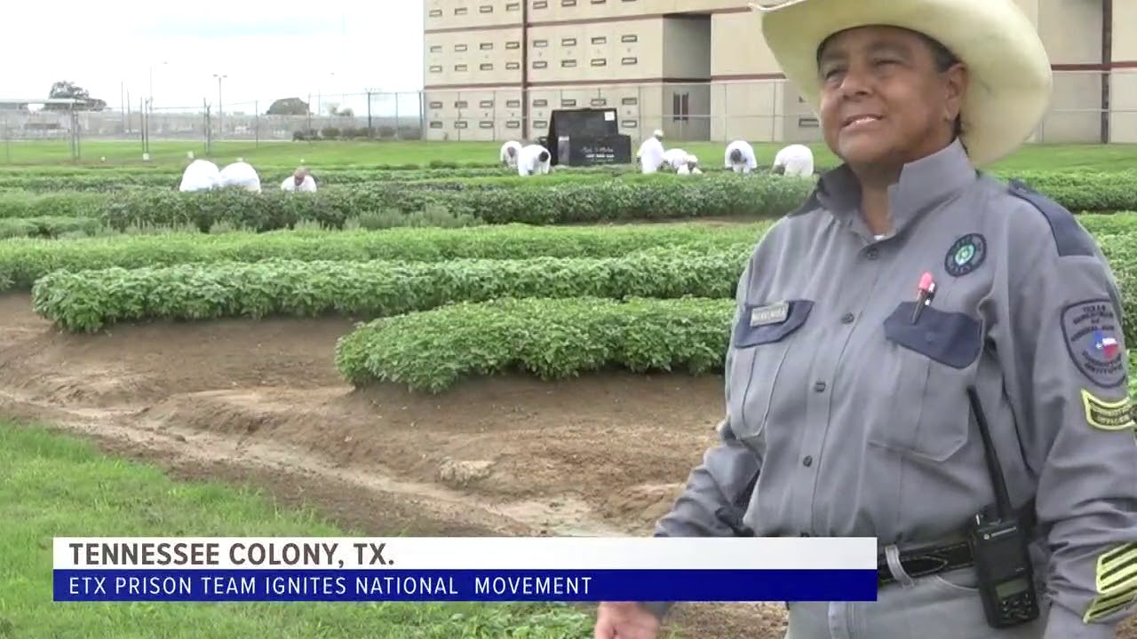 CBS 19 TDCJ Urban Farming
