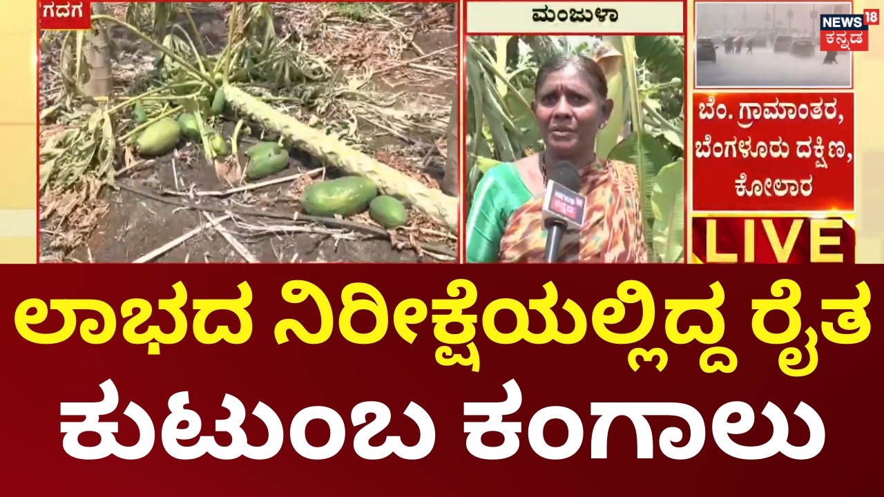 Rain Destroys Banana & Papaya Crops in Gadag | ಭಾರಿ ಗಾಳಿ, ಮಳೆಗೆ ಬಾಳೆ, ಪಪ್ಪಾಯ ಬೆಳೆ ಹಾನಿ