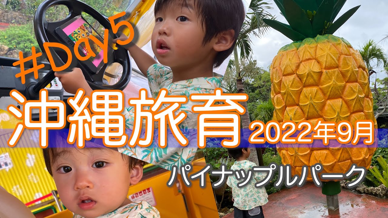 沖縄旅育2022年9月【5日目】　#おおしろ #ロイヤルビューホテル美ら海 #名護パイナップルパーク #北山食堂 #okinawa #travel #旅育 #沖縄 #子連れ旅