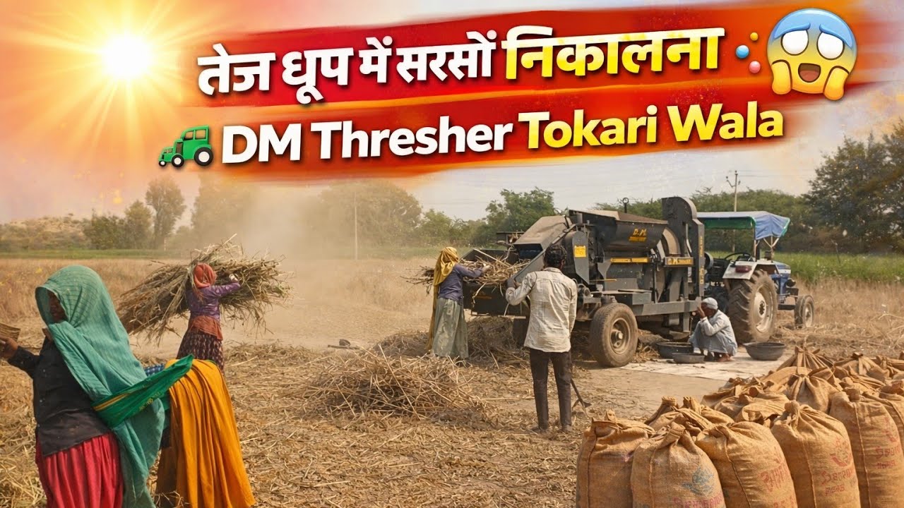 DM Thresher Tokari Wala 🚜 | धूप में सरसों निकालते किसान