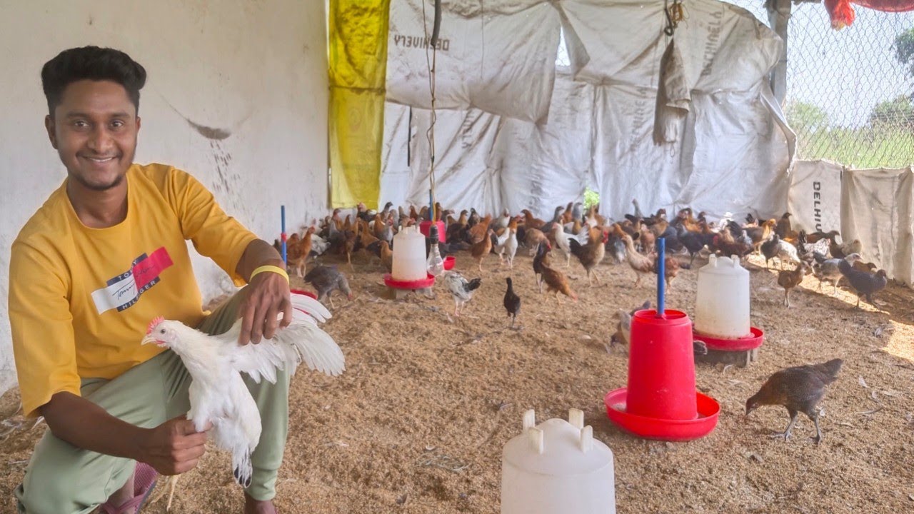 700 sq. ft. Shed & 400 Free Range Desi Sonali Poultry - Samir Shende Shows You How It's Done!
