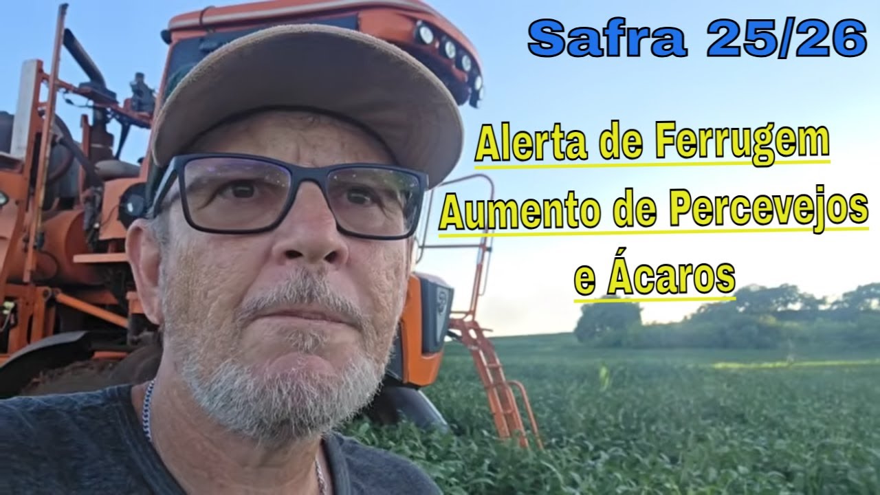 Aparecimento de esporos de ferrugem e aumento de percevejos e ácaros. Aplicação 3ª fungicida