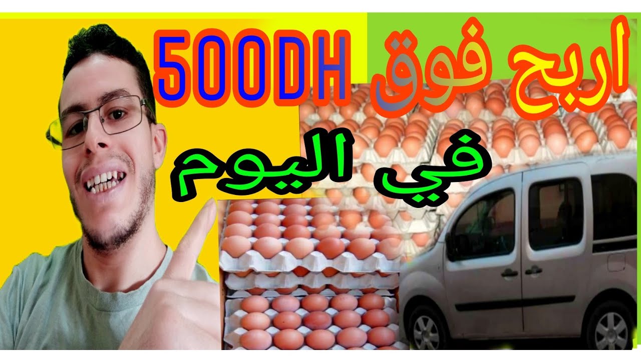 مشروع مربح بيع البيض  مشروع البيض Egg selling project How to profit from the egg project