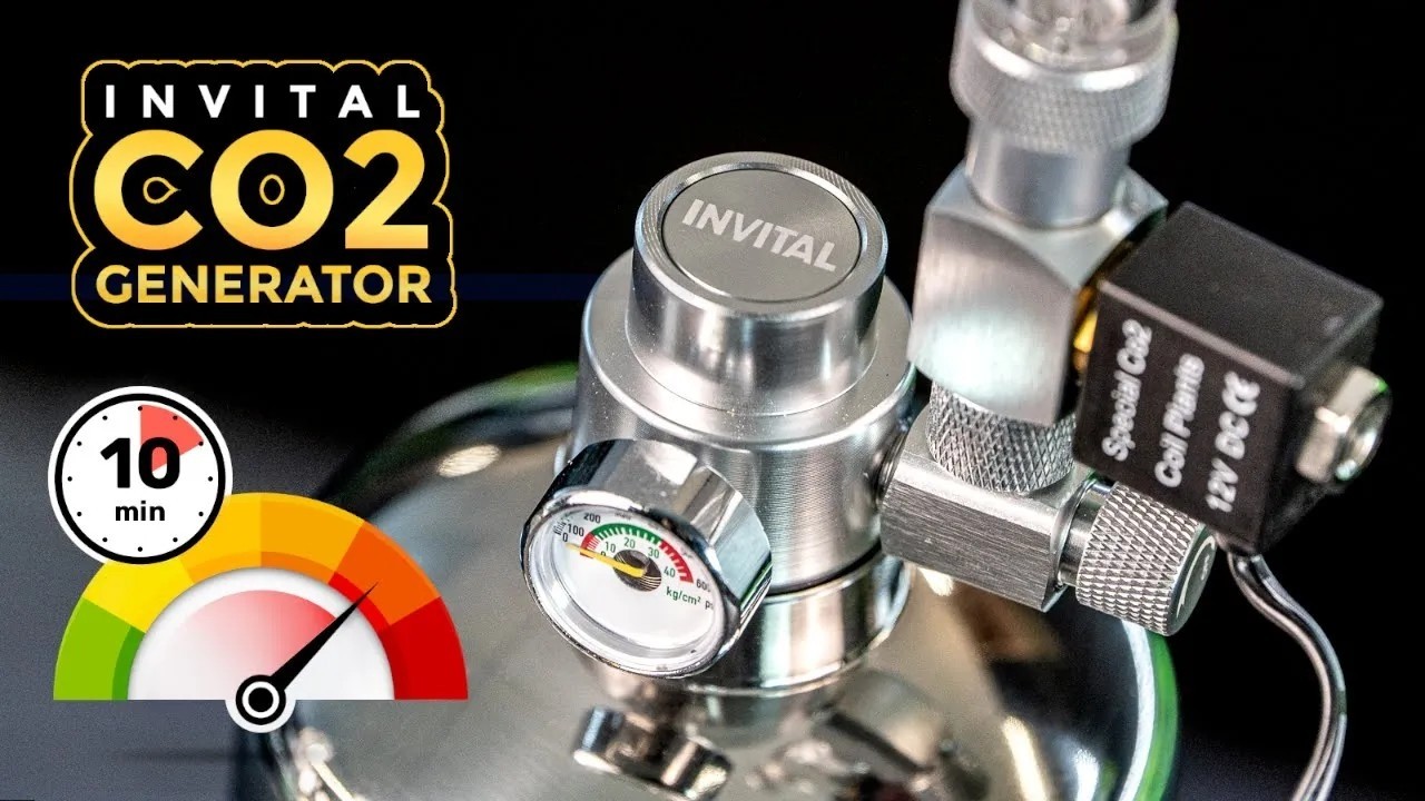 CO2 im Aquarium in nur 10 Minuten - INVITAL CO2 Generator