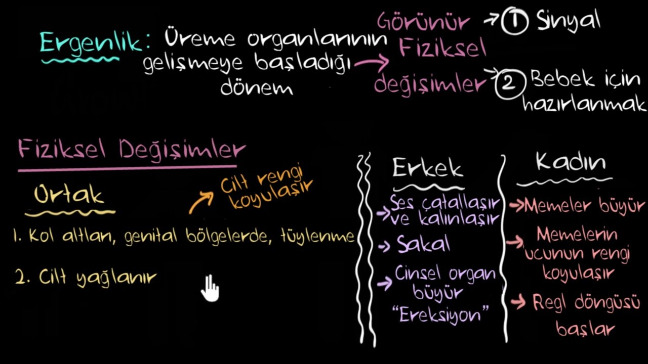 Ergenlik Dönemindeki Fiziksel Değişimler (Fen Bilgisi)
