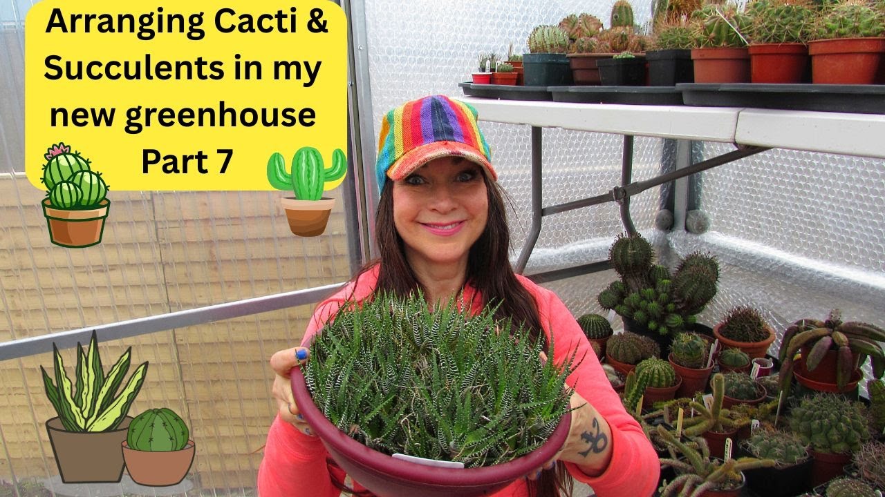 Arranging Cacti & Succulents in my new Greenhouse - Part 7 #cacti #cactus