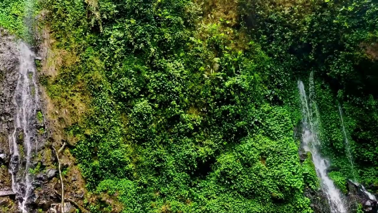 Gentle River Sounds with Birds for Insomnia Relief (10 Hours)
