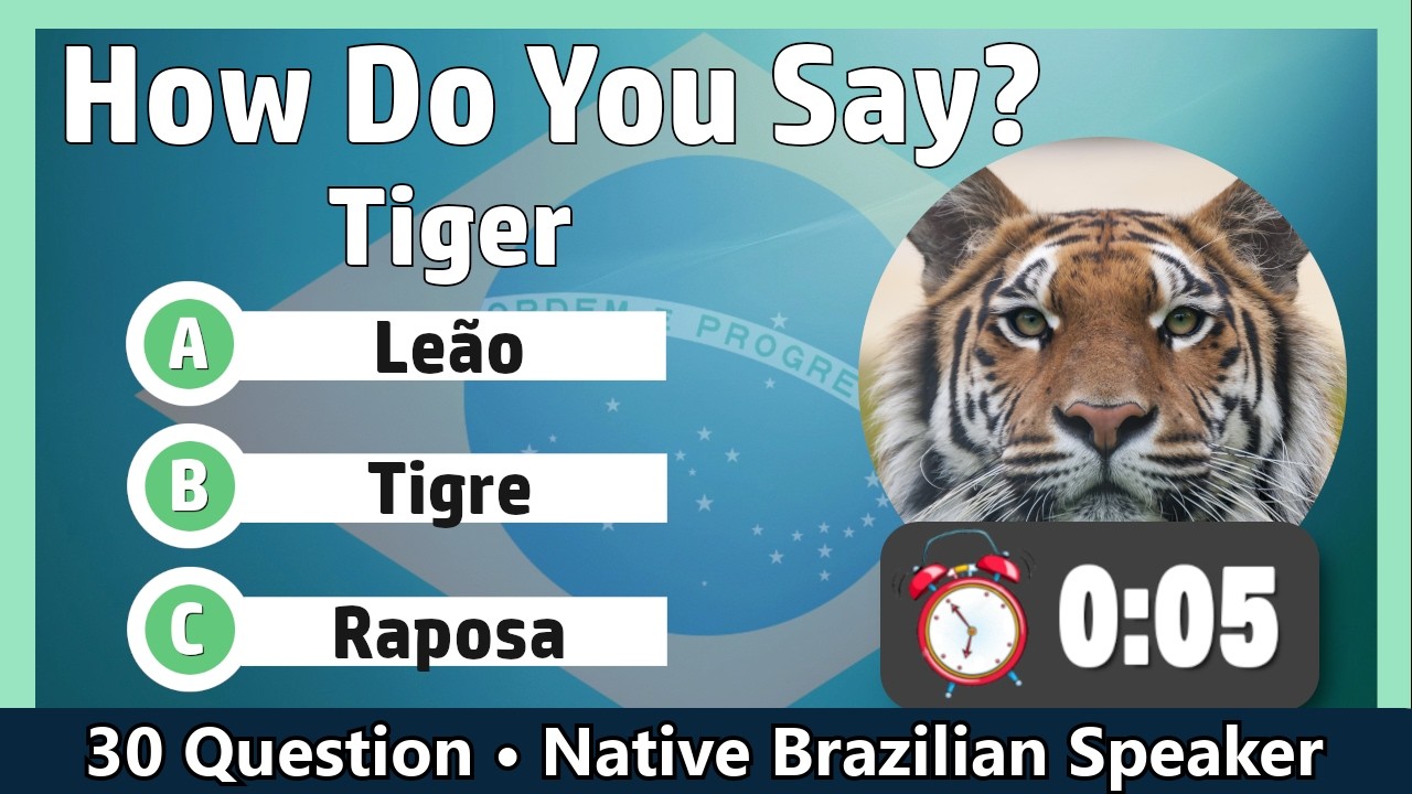 Brazilian Portuguese for Beginners | Vocabulary Quiz 4