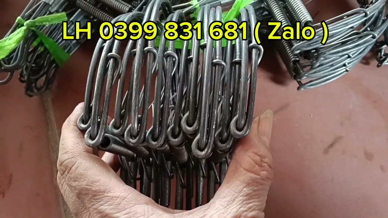 Mẫu cạm kiềng 14cm, bán nguyệt nhỡ đánh chuột sóc cò chồn #cambaychuot#camkieng 
