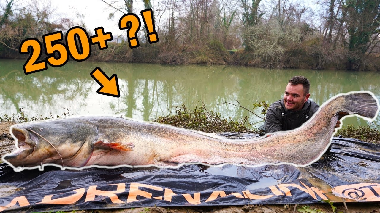 Wintertour am Geheimen Fluss: Unfassbare Fänge und riesige Welse!