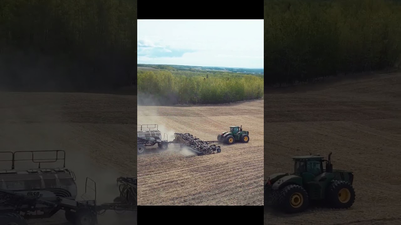 A Season of Farming Canola, From Seeding to Harvest. 