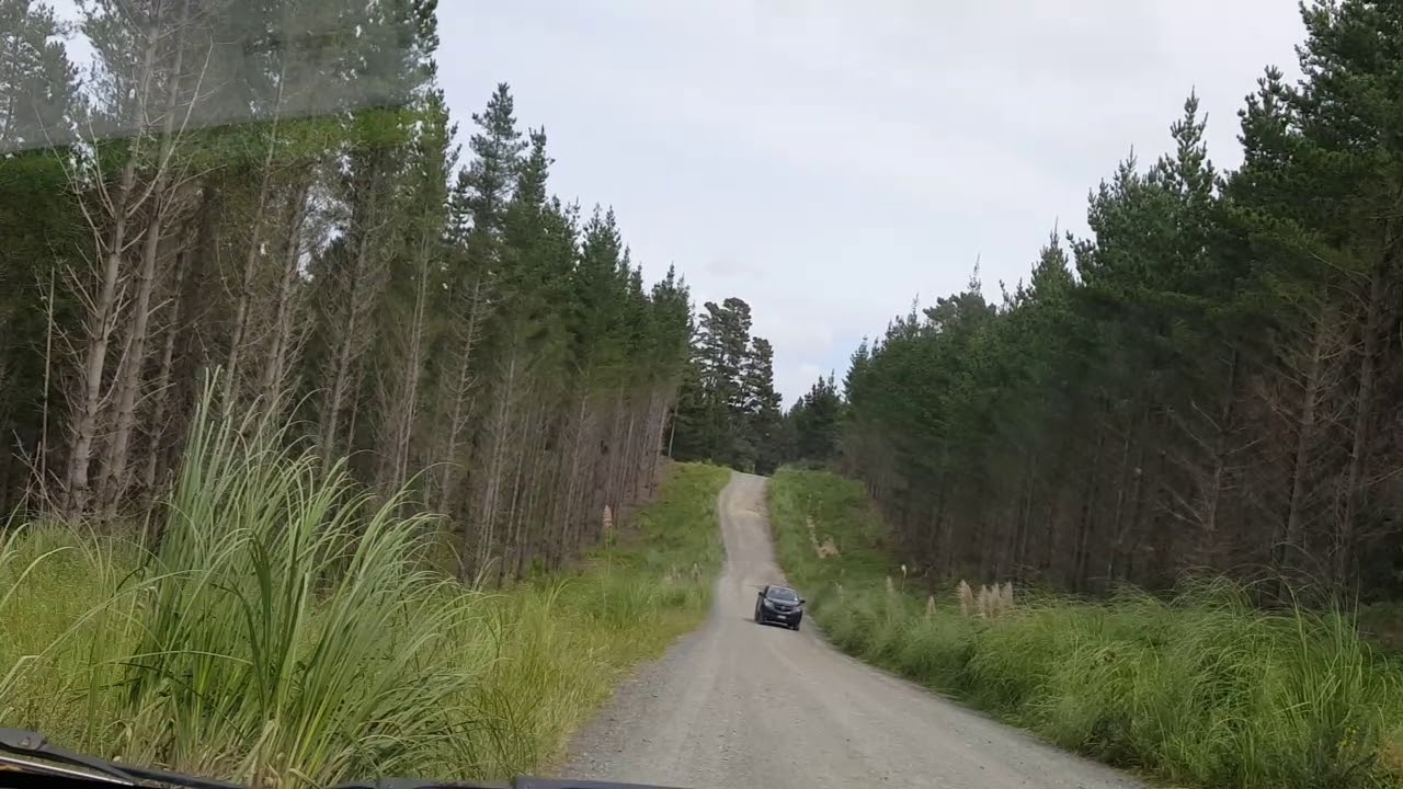 Te Arai car park and entrance 11/3/18