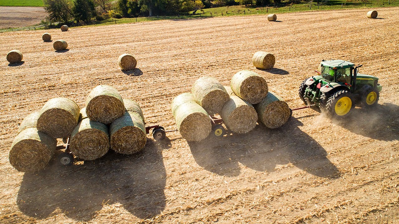 Raking and Baling Corn Fodder | Cattle Bedding For Winter