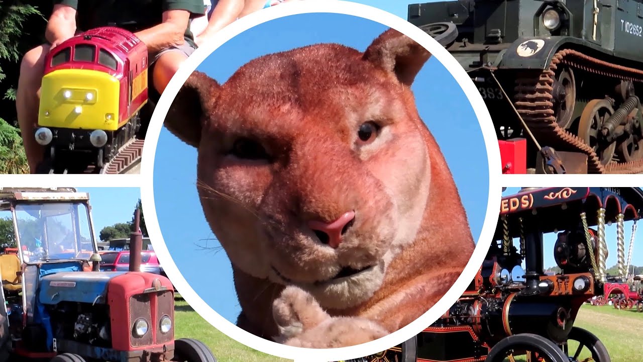 The Sights and the Sounds - Cheshire Steam Fair 2025 🥵🥵🥵 31°C ☀️☀️☀️