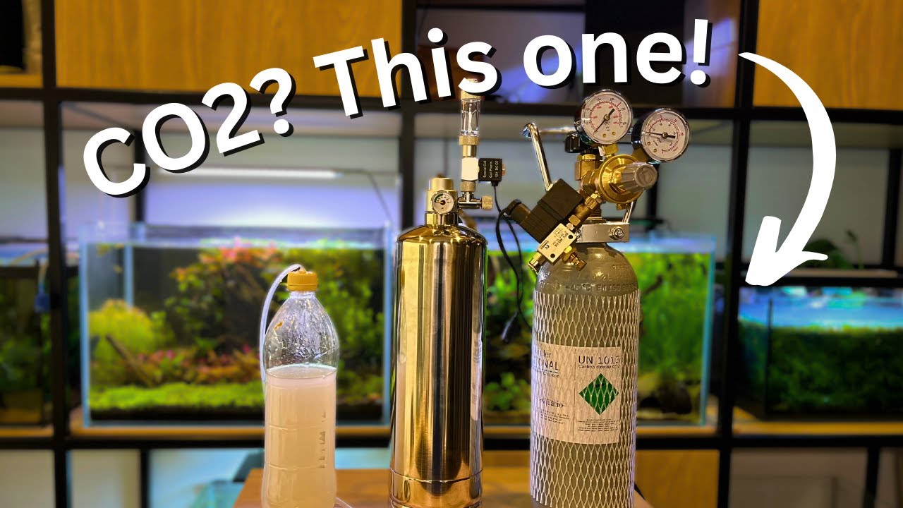 Лучшая система подачи CO2 для вашего аквариума? Полное руководство для начинающих по настройке CO2!