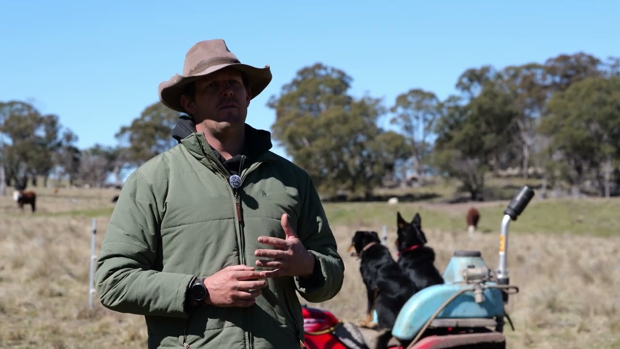 Cydectin Cup | Meet the Producers: Tom Mulligan