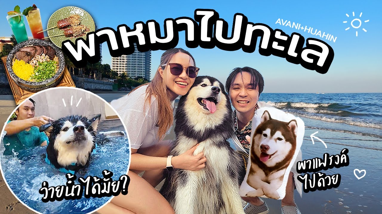พาหมาเที่ยวทะเลครั้งแรก! โฟร์จะว่ายน้ำได้? (พาแฟรงค์ไปด้วยนะ)