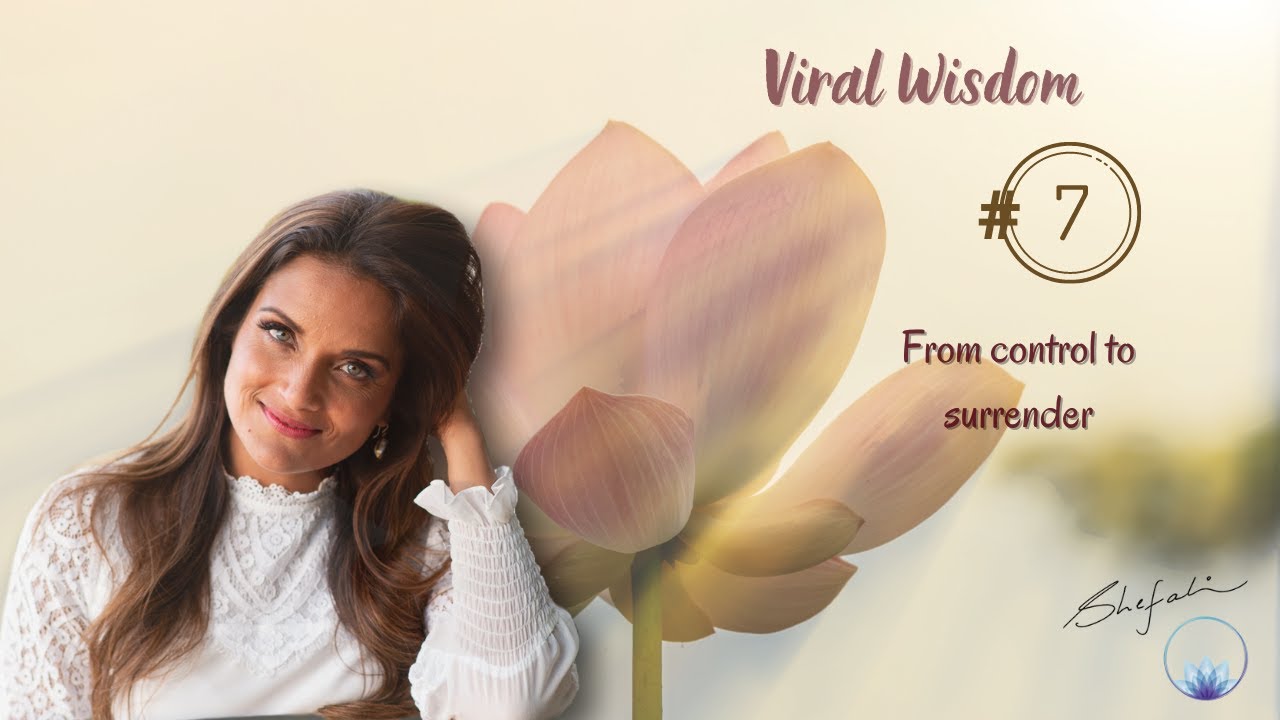 День 7. Вирусная мудрость: от контроля к капитуляции