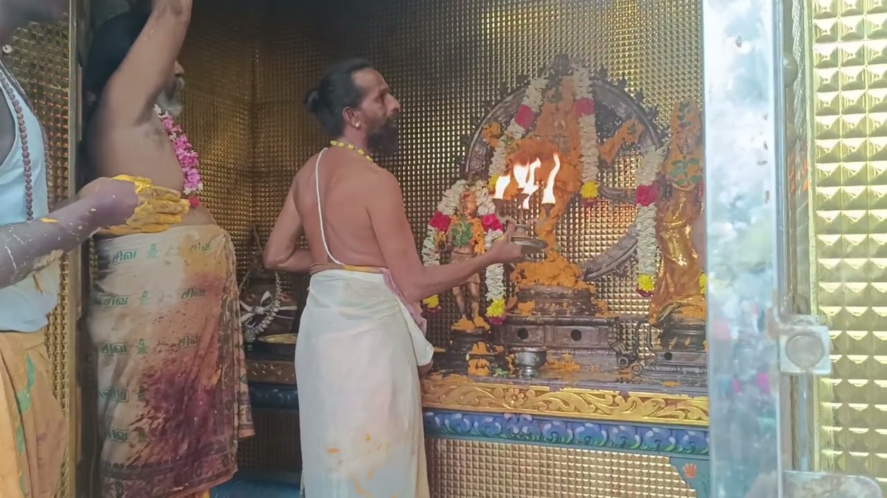 ARCHANA FOR NATARAJA ON ARUDRA
