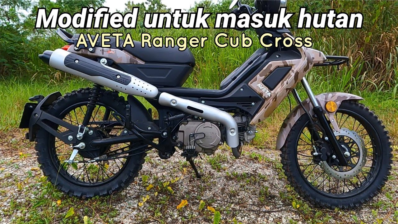 Modifikasi asas untuk masuk hutan bagi motor AVETA Ranger Cub Cross.
