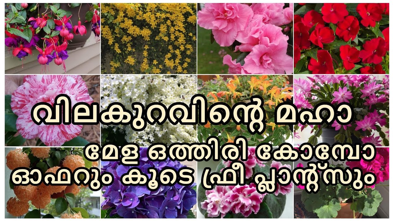 One week മഹാ കോമ്പോ മേള ഏത് എടുത്താലും പകുതി വില ❤️|ponnis Garden|