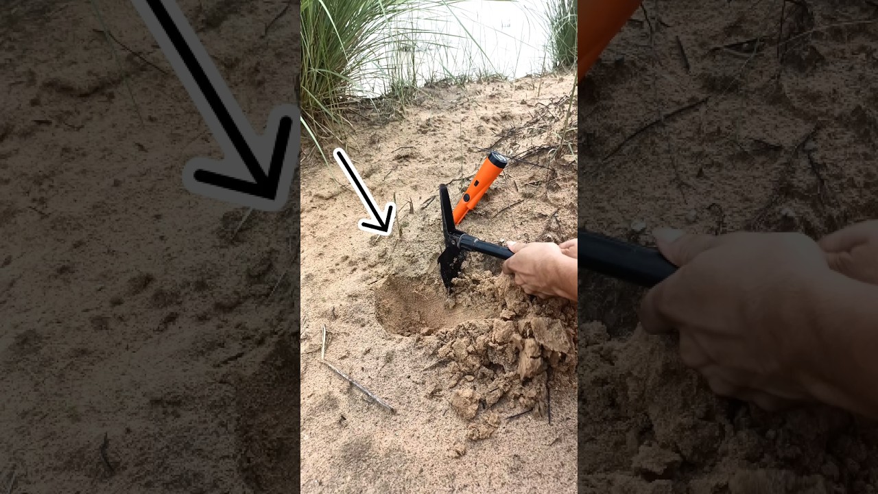 river treasure gold with metal detector machine #metaldetecting #river #findgold #shortsfeed #viral