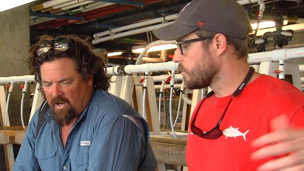 Season 3 Episode 6 | Cape Cod Bluefin Tuna | 306