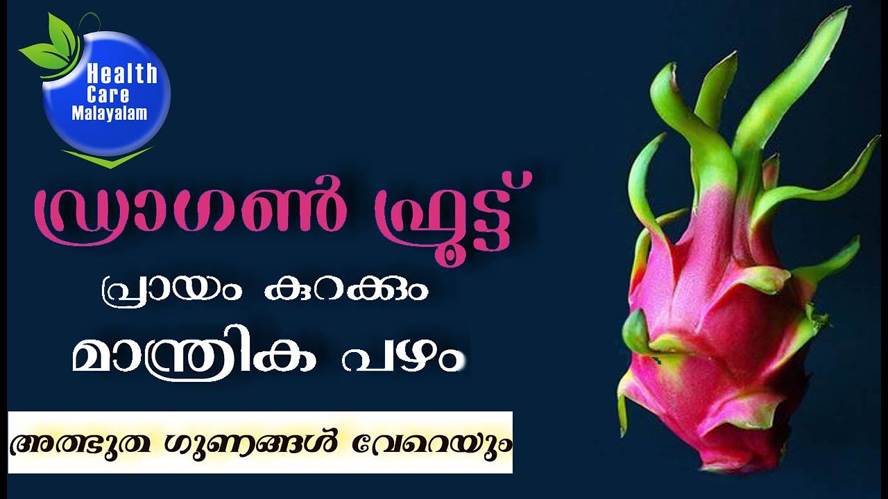 Amazing Health Benefits of Dragon Fruit|ഡ്രാഗണ്‍ ഫ്രൂട്ട് നല്‍കും നിങ്ങളാഗ്രഹിക്കുന്ന  ഈ ഗുണങ്ങള്‍
