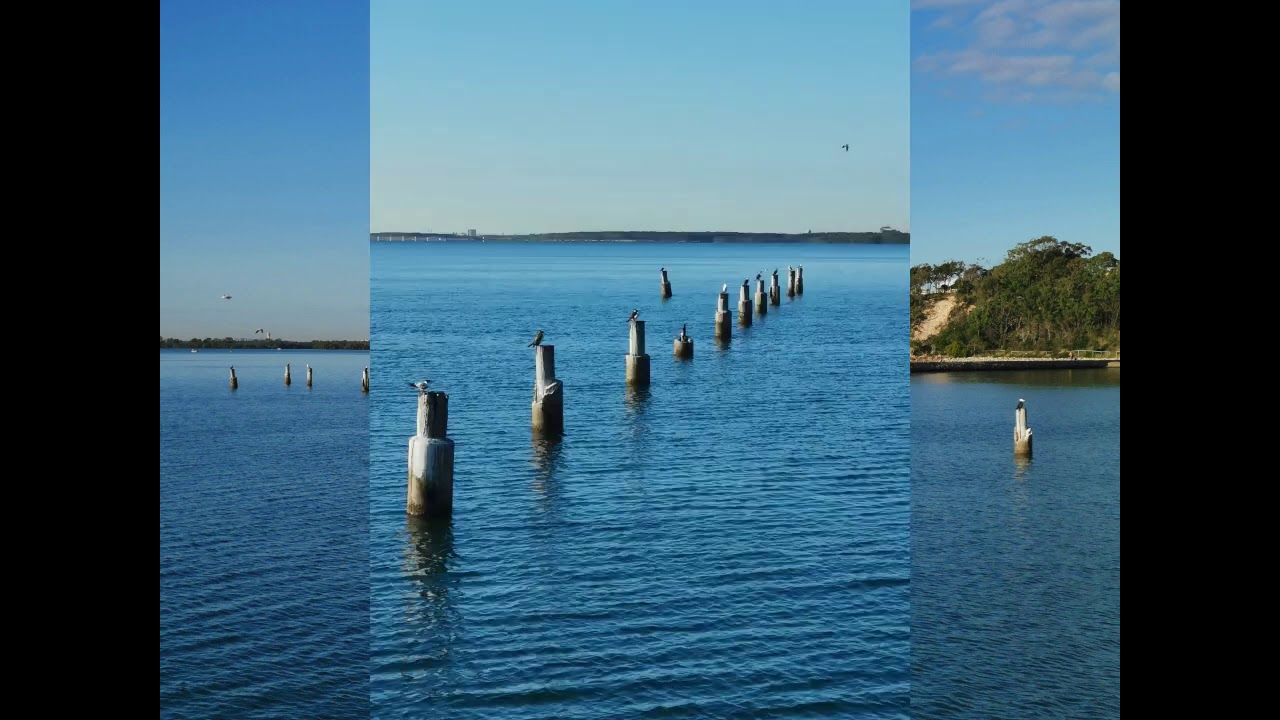 Home Movies - Shorncliffe Pier Australia