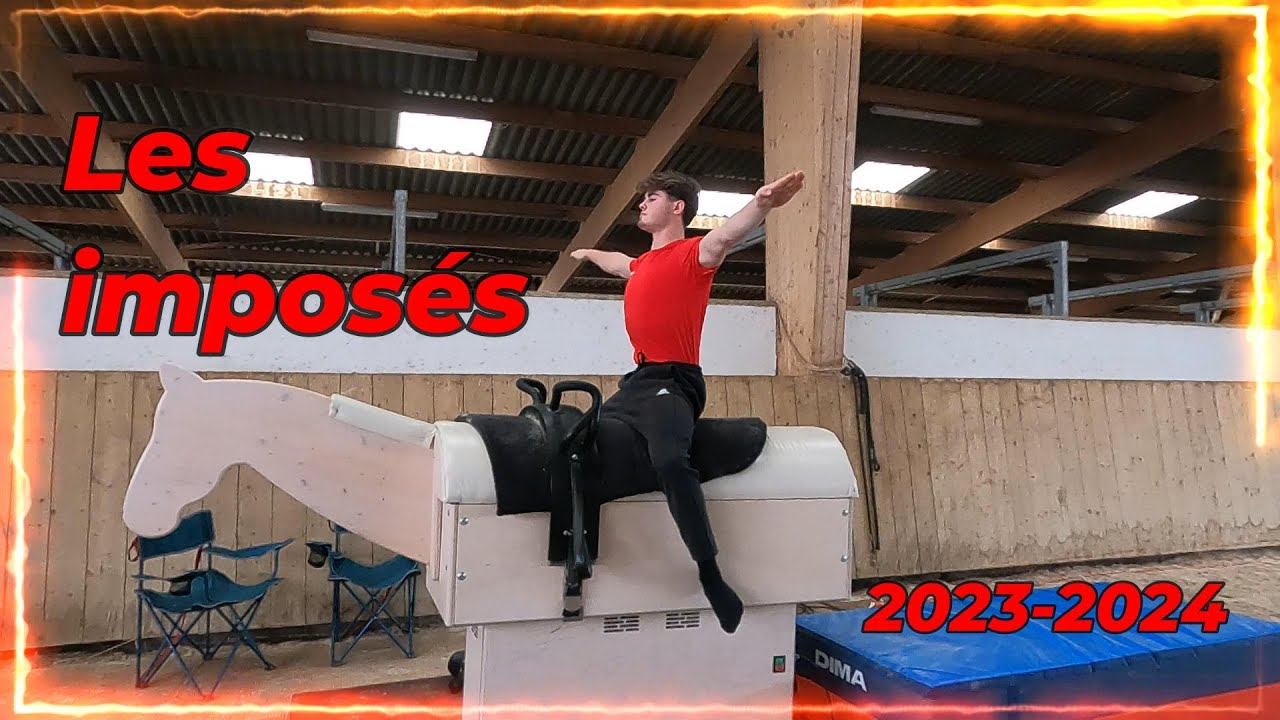 LES PROGRAMMES IMPOSES EN VOLTIGE EQUESTRE - 2024 -