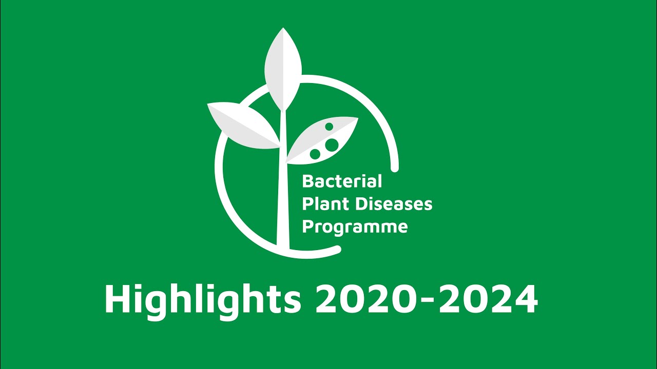 Highlights from the BPD programme 2020-24
