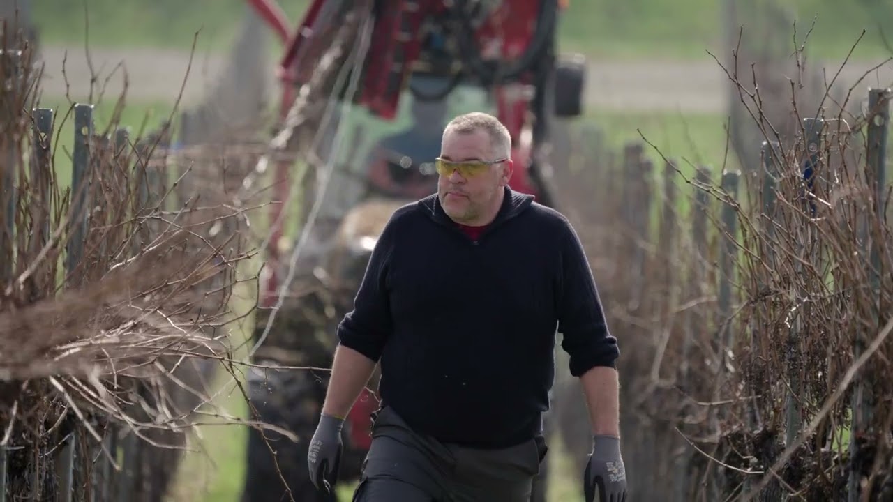 Cane Pruner VITECO - Testimonial from Daniel Franz, Agrar- und Weinbauservice Franz, Heilbronn