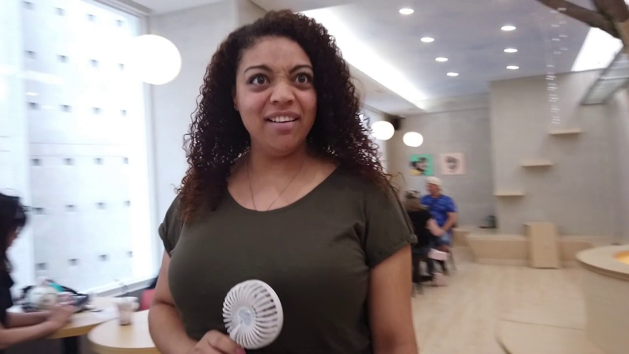 Cat hater goes to a cat cafe
