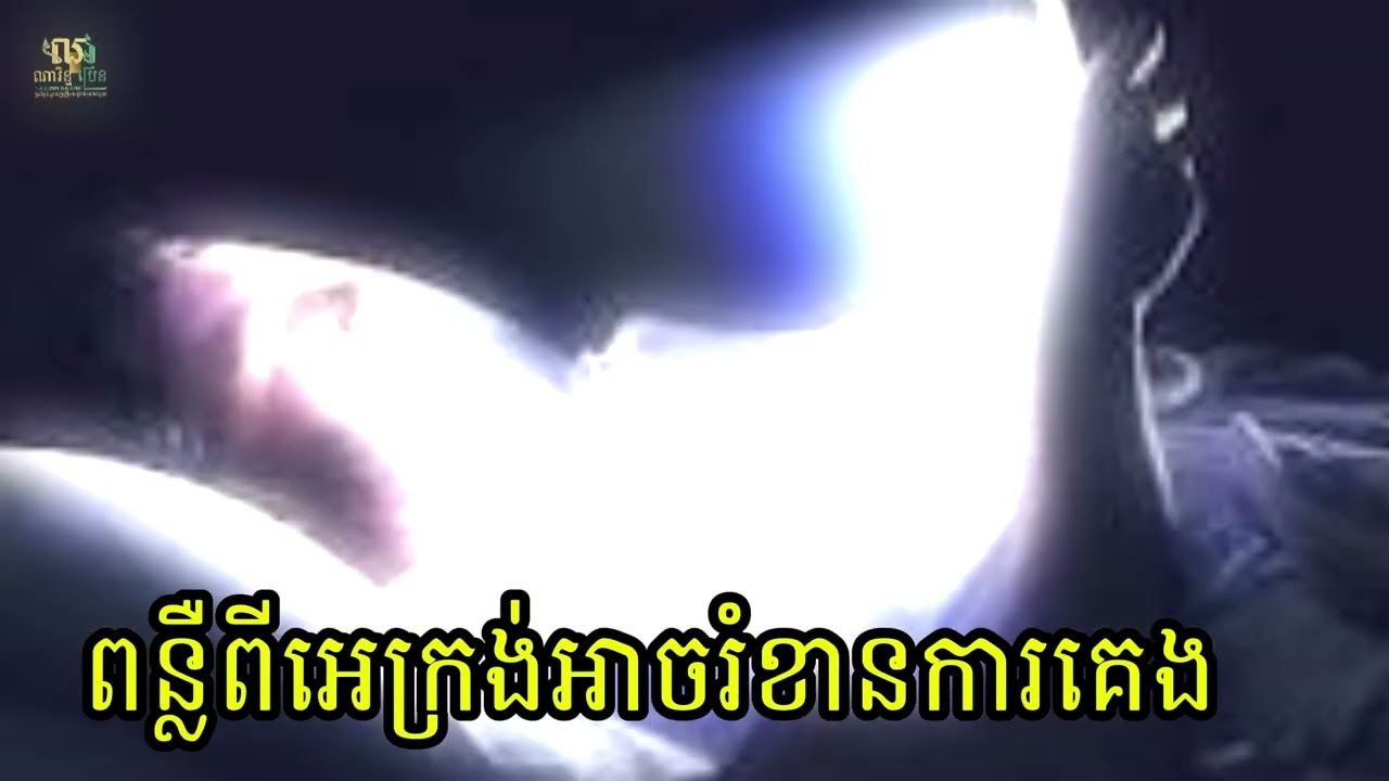 🫶កុំមើលទូរស័ព្ទមុនគេង🫶